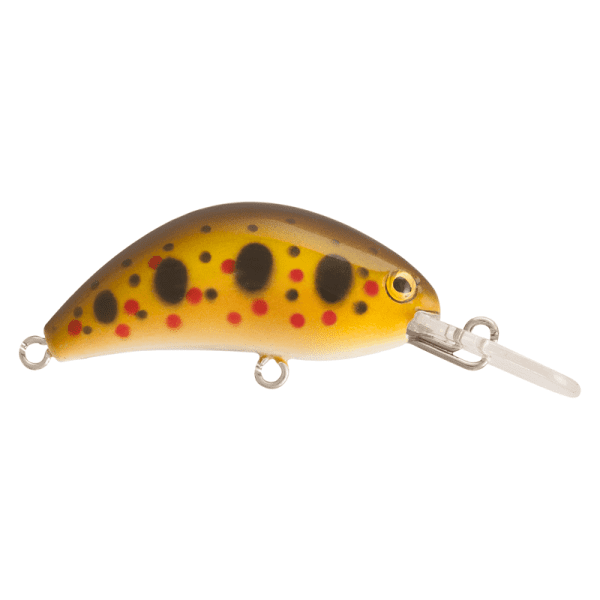 HOT BEAN 40mm <i class="destaque-color">Color #96 Yamame Dolly</i> - 3.5g