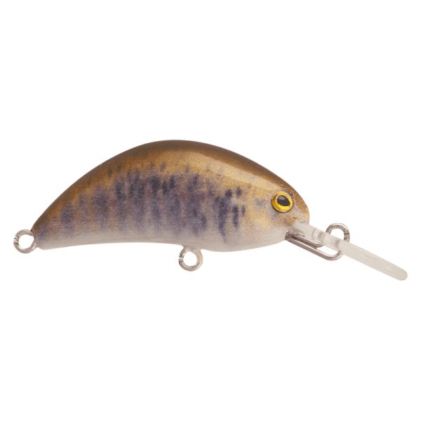 HOT BEAN 40mm <i class="destaque-color">Color #98 Brown Trout</i> - 3.5g