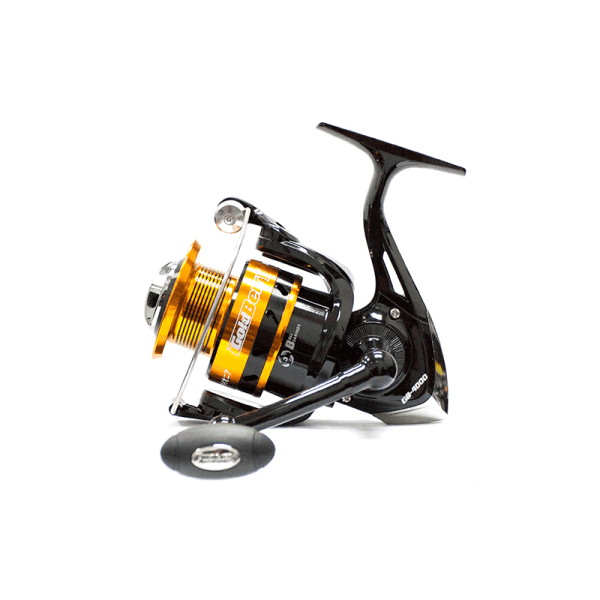GoldBerry DC 4000