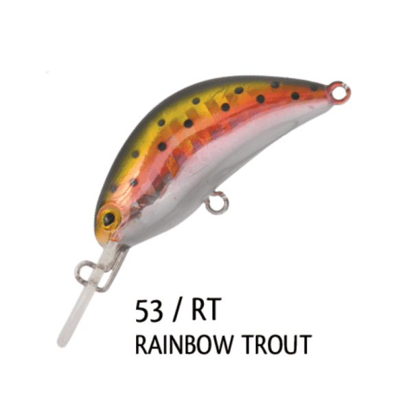 HOT BEAN 40mm <i class="destaque-color">Color #53 Rainbow Trout</i> - 3.5g