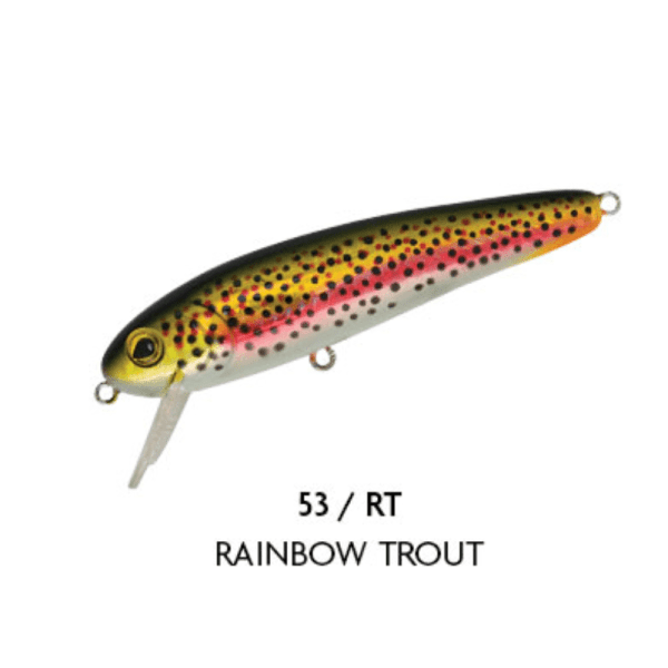 SUPER DEXTER 110mm <i class="destaque-color">Color #53 Rainbow Trout</i> - 32g