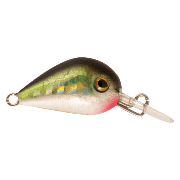 HOT BUZZ 25mm <i class="destaque-color">Color #2 Olive Shinner</i> - 3g