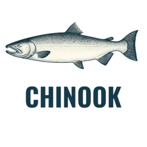 Chinook