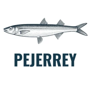 Pejerrey
