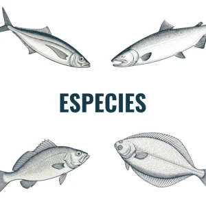 Especies
